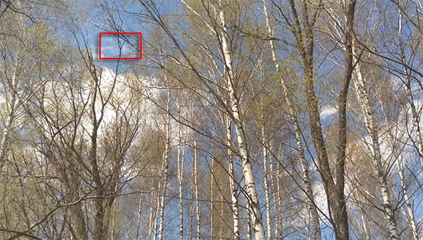 Видеосъемка смартфоном. HTC One M9 Plus