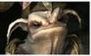 Fable 2 за 12 часов