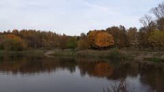 Видеокамера Canon XF405