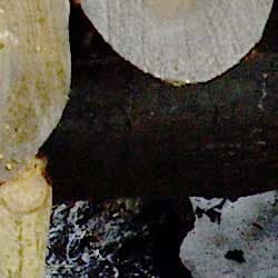 фрагмент 1:1