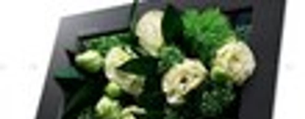 Первые glasses-free 3DTV от Toshiba в декабре