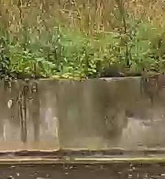 Экшн-камера Yi 4K Action Camera