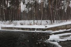 Видеосъемка фотоаппаратом Canon EOS 7D Mark II