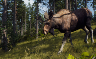 Way of the Hunter бросает вызов запрещённой в России theHunter Call of the Wild