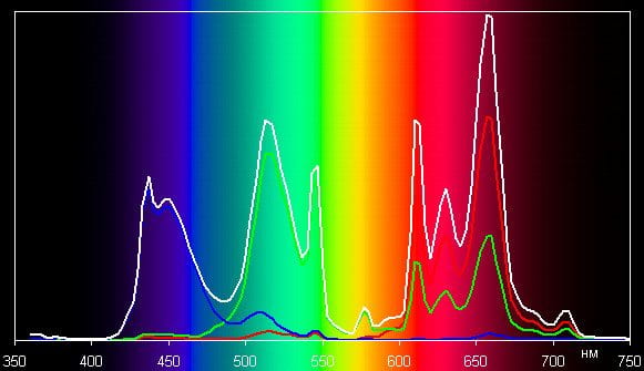 Spectrum