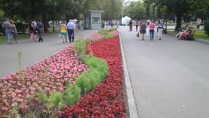 примеры снимков — Huawei Ascend P1 примеры снимков Huawei Ascend P1