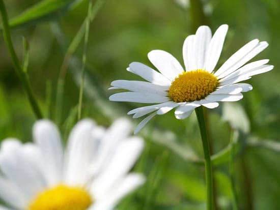 Kodak EasyShare Z8612IS