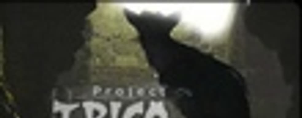 Project Trico - трейлер новой игры от Team ICO!!!