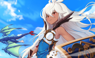 Huge popularity of the fighting game forced to limit the number of participants in the Granblue Fantasy Versus Rising tournament