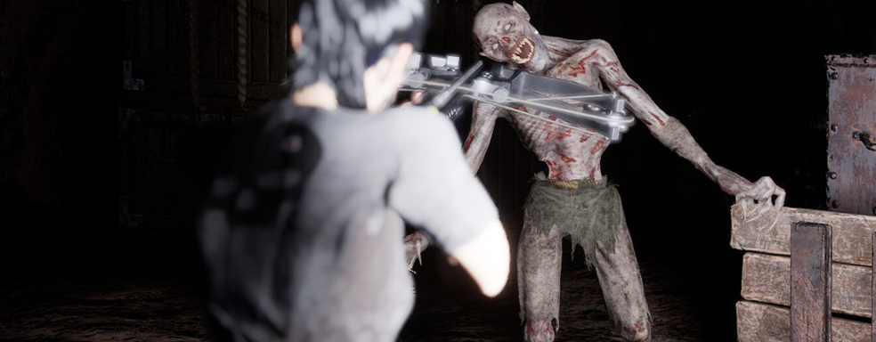 Инди-разработчику стало неудобно продавать RPG-шутер низкого качества, поэтому он удаляет игру из Steam