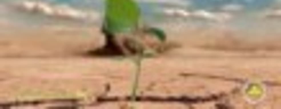 Загадка Emagon раскрыта