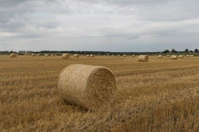 1/200 c, с профилем