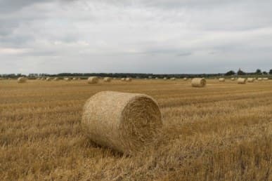 1/3200 c, с профилем