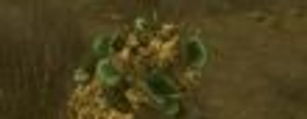 Нужно больше золота – добыча полезных ископаемых в новом ролике Star Citizen