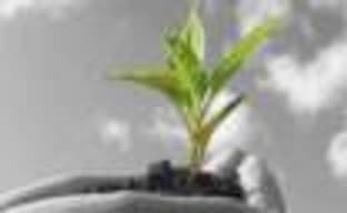 Дети предпочитают игры заботе об окружающей среде