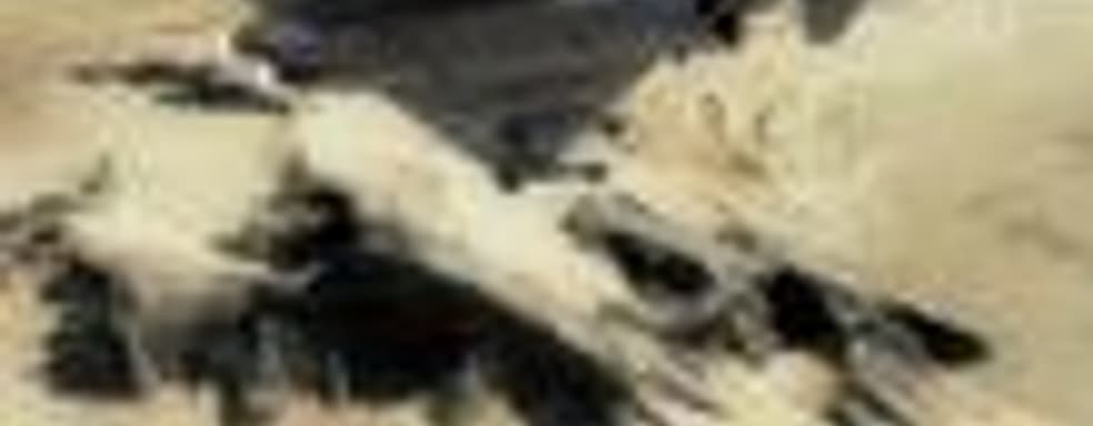 Новые скриншоты (Tom Clancy's HAWX, Project Origin, Civilization IV: Colonization)