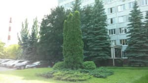 Samsung Galaxy Mega, пример снимка