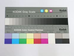 автобаланс белого