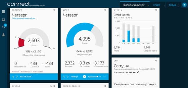 Скриншот ПК-версии сервиса Garmin Connect