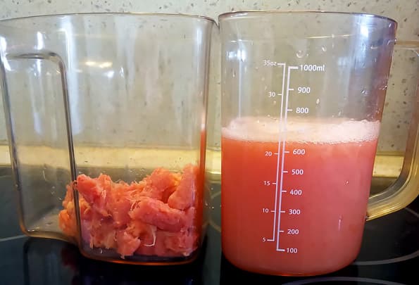 Вертикальная шнековая соковыжималка Sana EUJ808