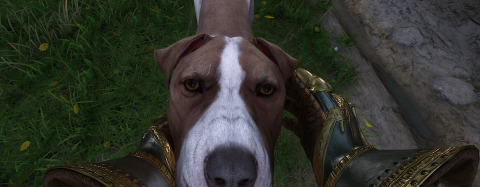 Создатель дилогии Kingdom Come Deliverance хотел бы сделать реалистичную RPG про викингов или крестоносцев