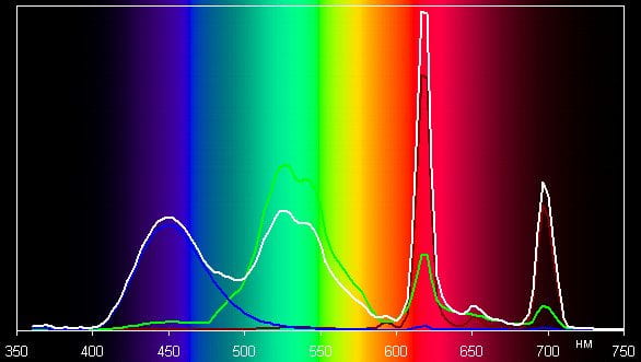 Spectrum