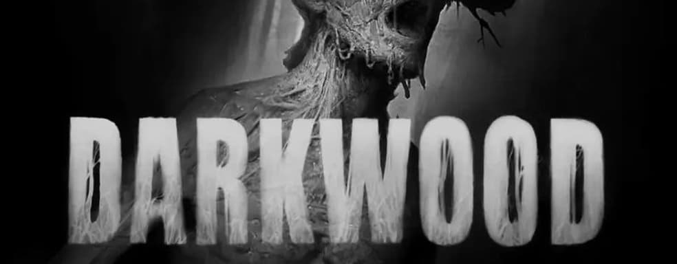 Разработчики хоррора Darkwood создают спортивную игру