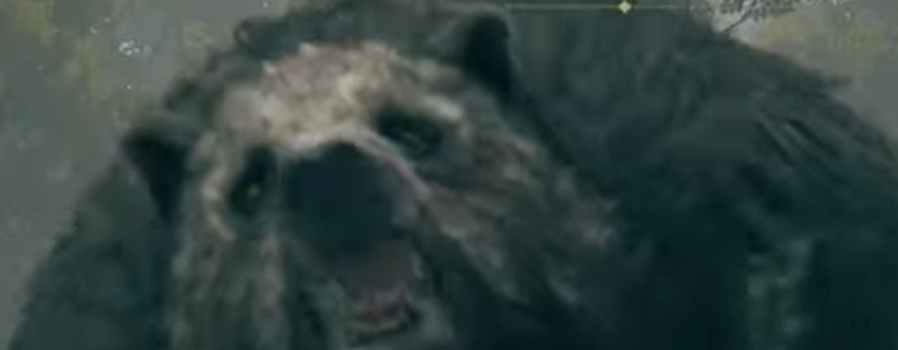 Elden Ring bypasses restriction and reveals hidden content: a huge bear and a boss