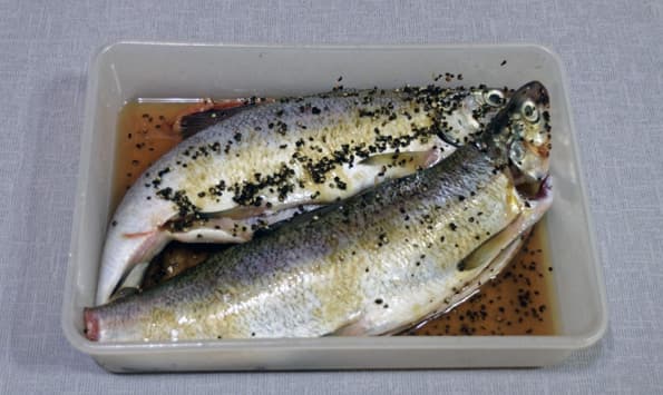 вакууматор Caso VC 150