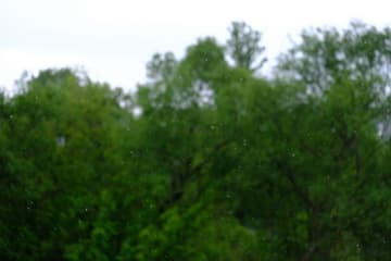 Видеосъемка фотоаппаратом. Fujifilm X-T20