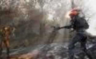 В бета-версии Fallout 76 на РС заблокировали частоту кадров и угол обзора