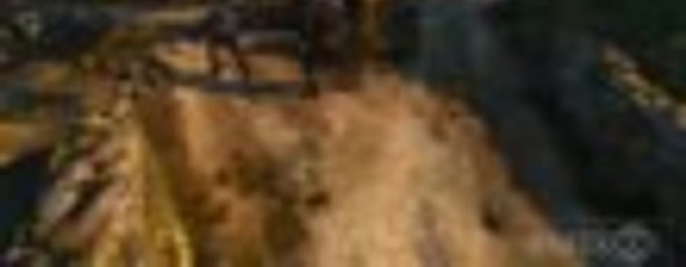 The Witcher 3: Wild Hunt - сражения с людьми