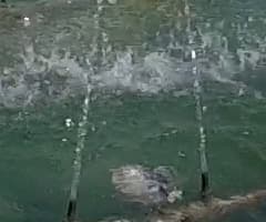 Экшн-камера GoPro Hero4 Session