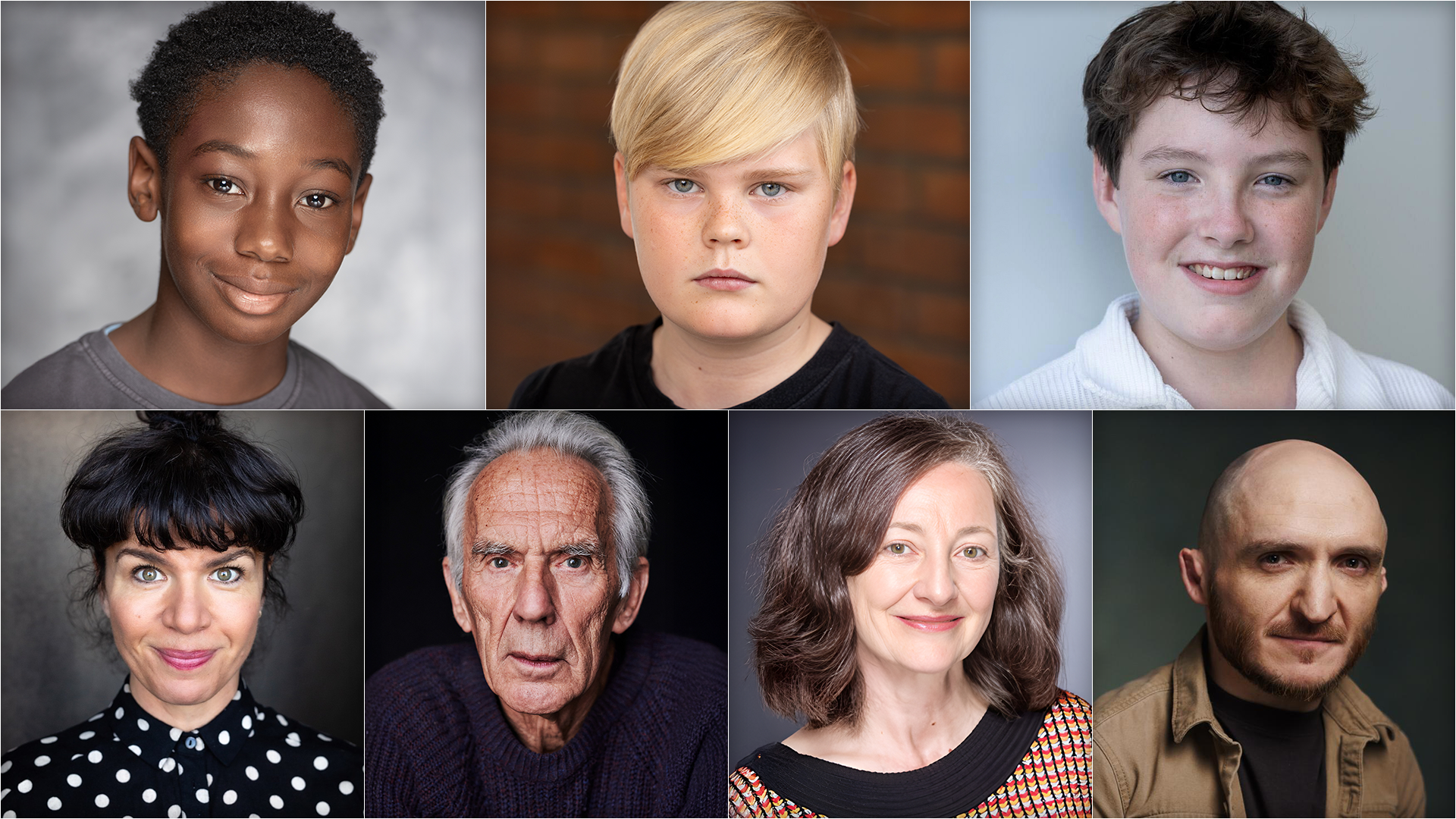 Слева направо: Элайджа Ошин (Дин Томас), Финн Стивенс (Винсент Крэбб), Уильям Нэш (Грегори Гойл), Сирин Саба (профессор Спраут), Ричард Дёрден (профессор Биннс), Брид Бреннан (мадам Помфри), Ли Гилл (гоблин Крюкохват).