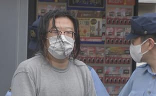 Chinese Man Arrested in Japan for Selling Nintendo 3DS