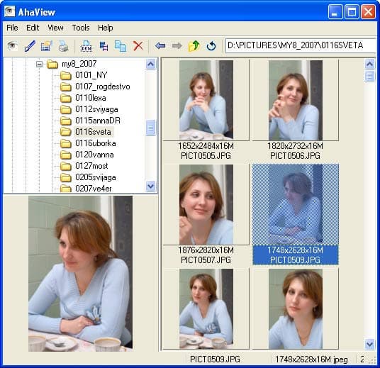 Рабочее окно AhaView