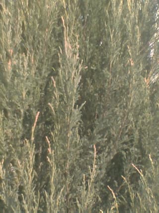 Внешняя камера Внешняя камера