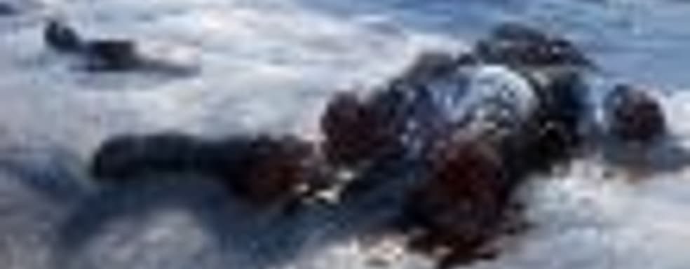 Классика насилия – в Sniper Ghost Warrior Contracts будет расчленение врагов в духе Soldier of Fortune