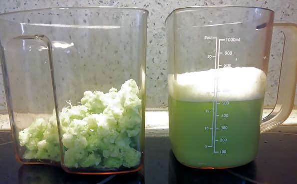 Вертикальная шнековая соковыжималка Sana EUJ808