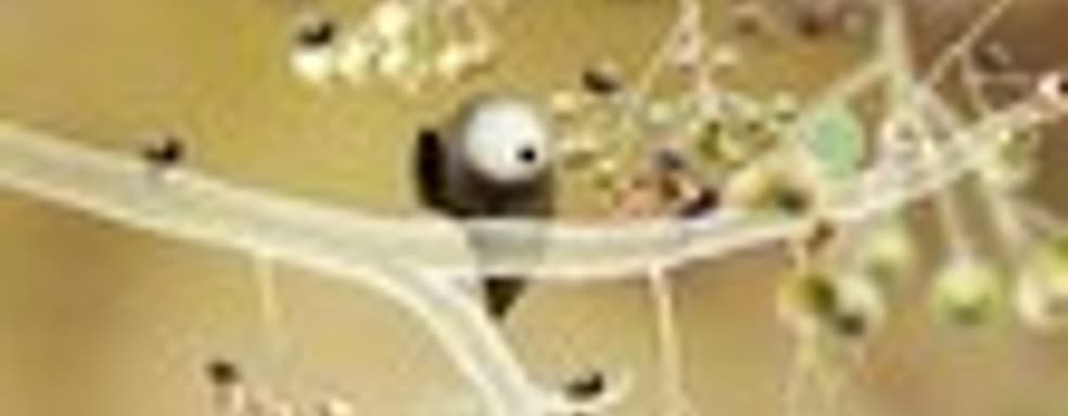 Botanicula - новая игра от создателей Machinarium и Samorost