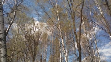 Видеосъемка смартфоном. HTC One M9 Plus