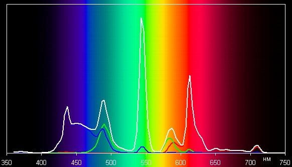 Spectrum