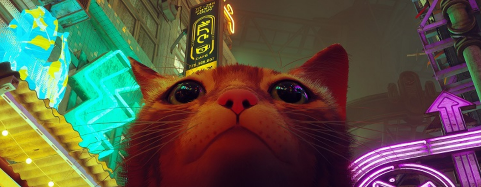 Странные надписи в Stray можно прочитать — разработан алфавит для расшифровки посланий