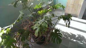 Обзор смартфона HTC One