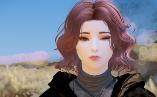 The Elder Scrolls V Skyrim получила систему сообщений из Elden Ring и Dark Souls, разработанную россиянином