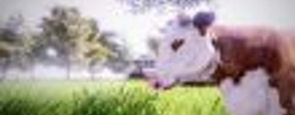 Трейлер и дата выхода симулятора фермера Real Farm