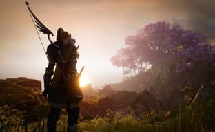 Слух: горячо ожидаемую онлайновую ролевую игру Throne and Liberty отложат перед релизом