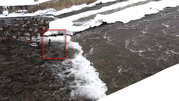 Видеосъемка фотоаппаратом Canon EOS 7D Mark II