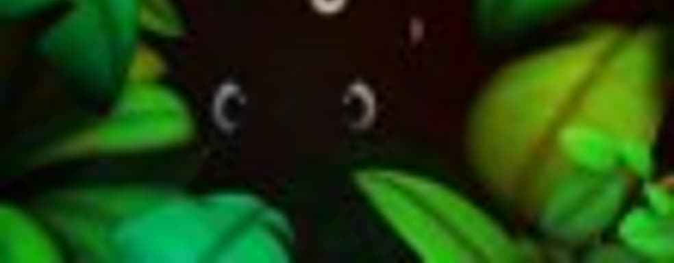 Выходцы из Rare делают идейного наследника Banjo-Kazooie