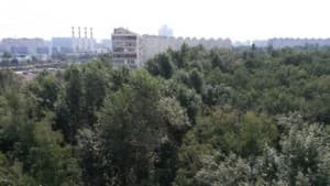 Samsung Galaxy S4 Active, пример снимка